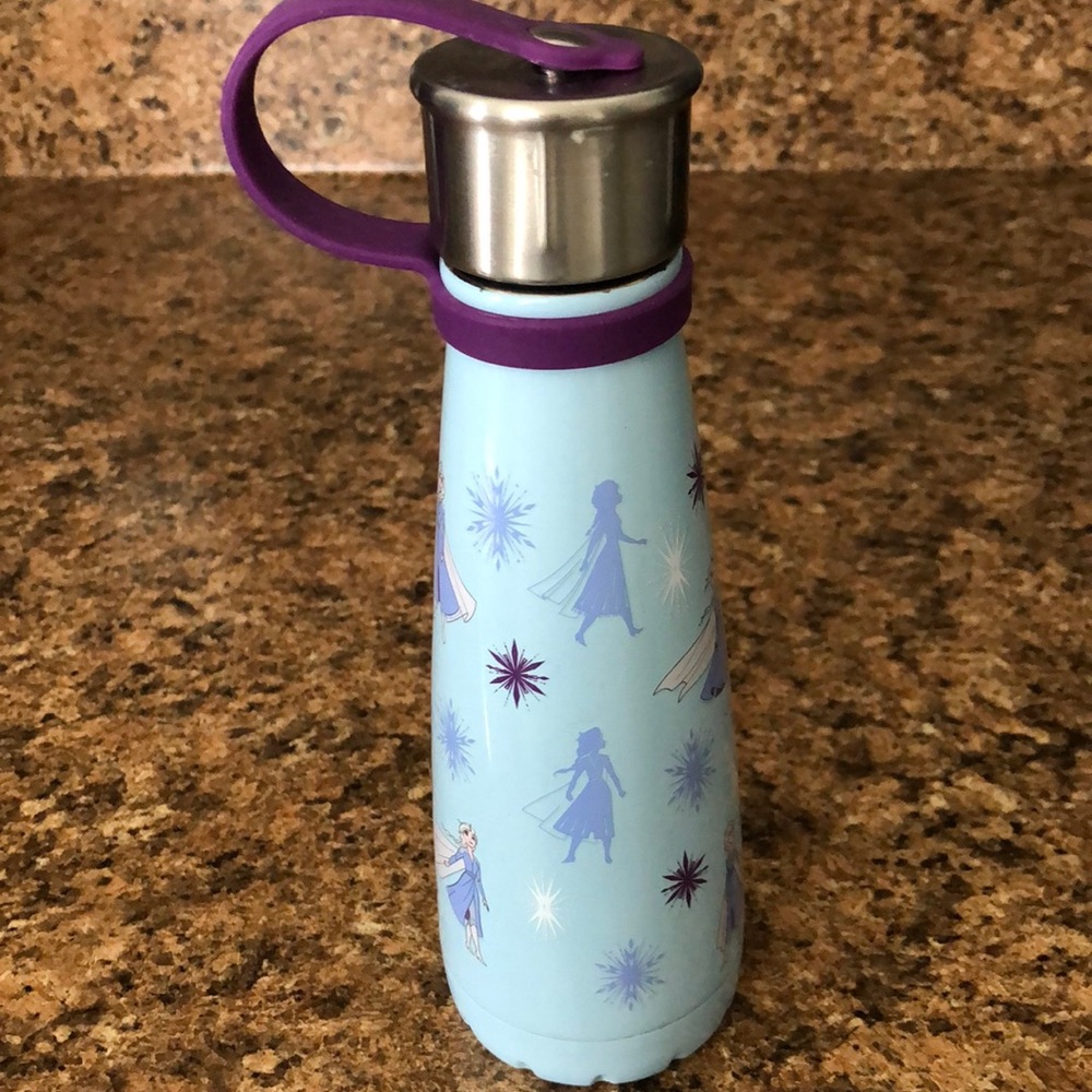 DISNEY Frozen 2 Stainless Steel Water Bottle, 450mL, …